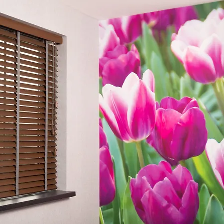 House Of Tulips-2