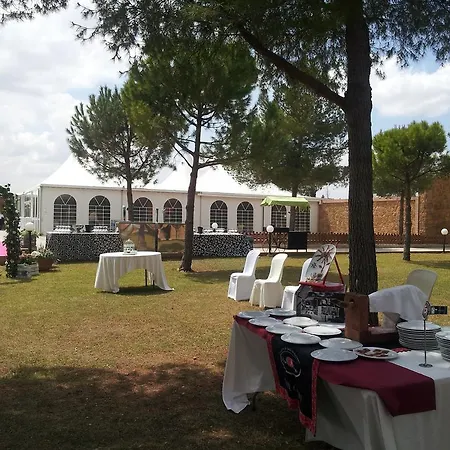 Hotel Viñedos y Bodegas El Castillo-2