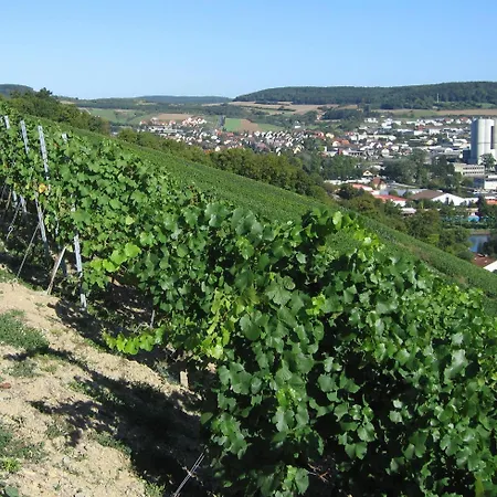 Weinstube Schwalbennest-3
