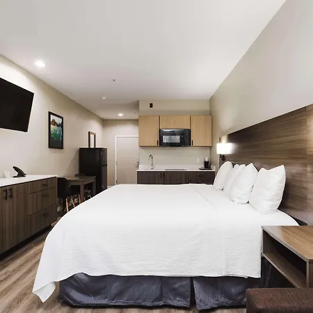 Surestay Studio By Best Western Conroe Downtown-3