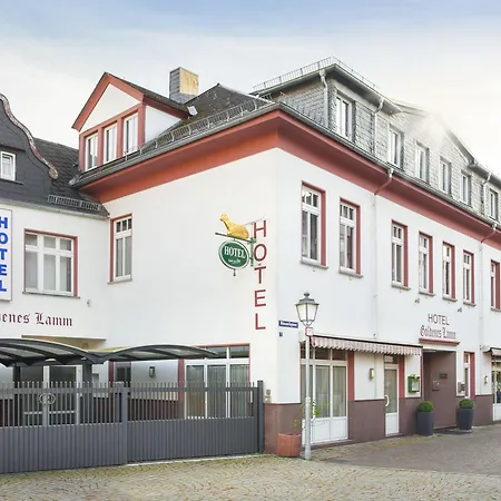 Hotel Goldenes Lamm-3