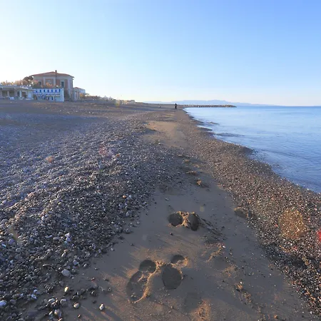 Hotel Cecina Beach-3