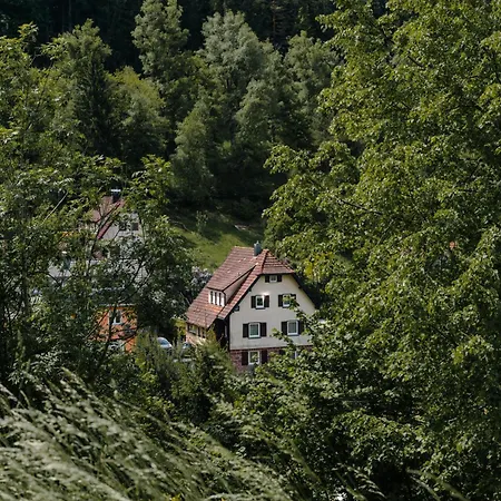 Gaestehaus Talblick - Schwarzwald Plus Karte Inkludiert-2