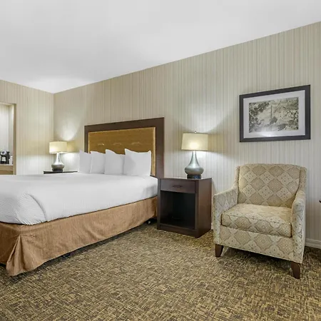 Best Western Plus Big America-2
