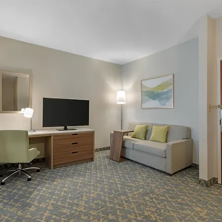 Best Western Wesley Chapel-2