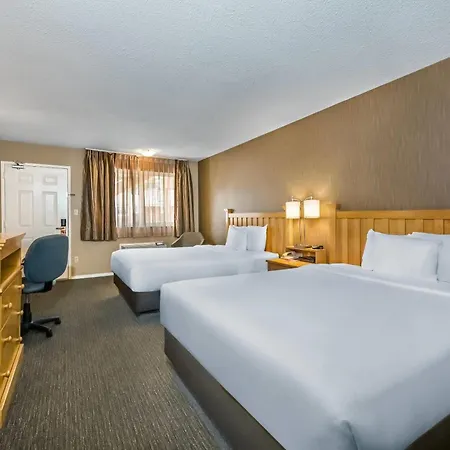 Econo Lodge Inn & Suites-3