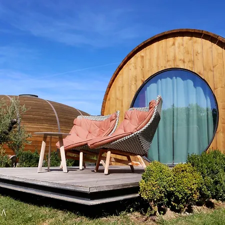 Pacheca The Wine House Hotel E Spa - Quinta Da Pacheca-3