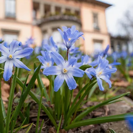 Schloss Hotel Wasserburg-2