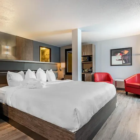 Hotel Quartier, An Ascend Collection Hotel-3