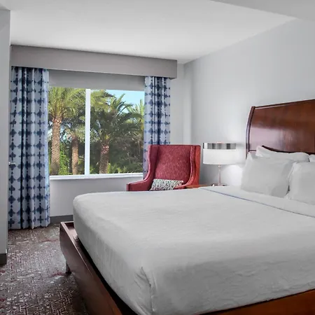 Hilton Garden Inn Sarasota-Bradenton Airport-3