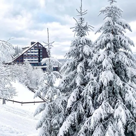 Orea Resort Horizont Sumava-3