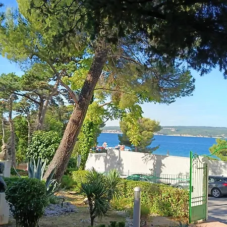Hotel Vila Ruzica- Glavna Zgrada I Depandanse-2