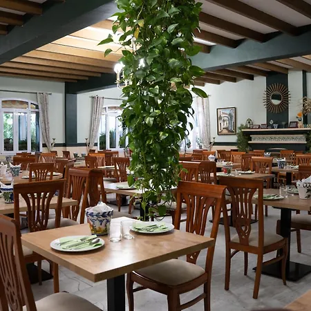 La Palmosa-2