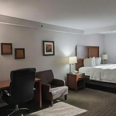 Country Inn & Suites By Radisson, Battle Creek, Mi-3