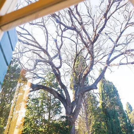 Villa Rinalducci-2