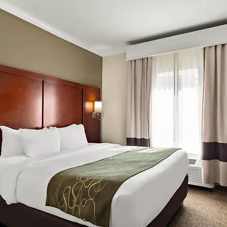 Comfort Suites Corpus Christi Central-3