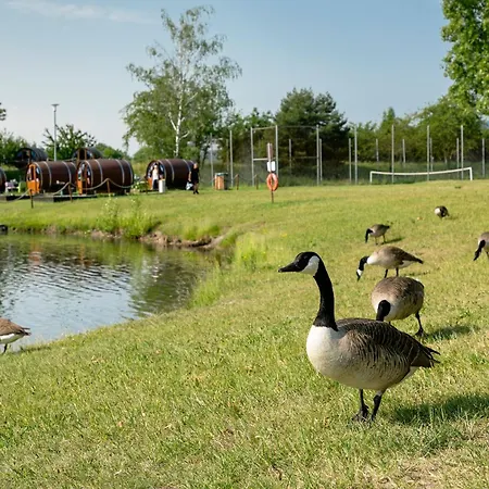 KNAUS Campingpark Bad Dürkheim-3