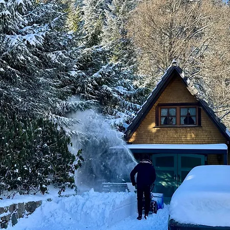 Hollhouse - Bed & Breakfast-2