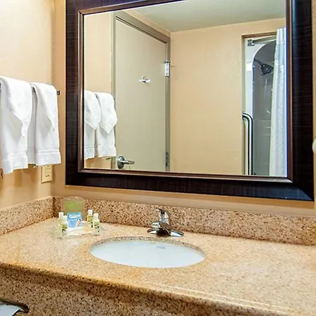 Holiday Inn Hotel & Suites Slidell By Ihg-3