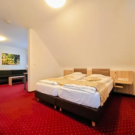 Wellness Hotel Garni Krone-3