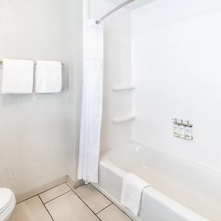 Holiday Inn Express Durango Downtown- Animas River-3