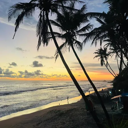 Moon Bridge Beach Resort-2