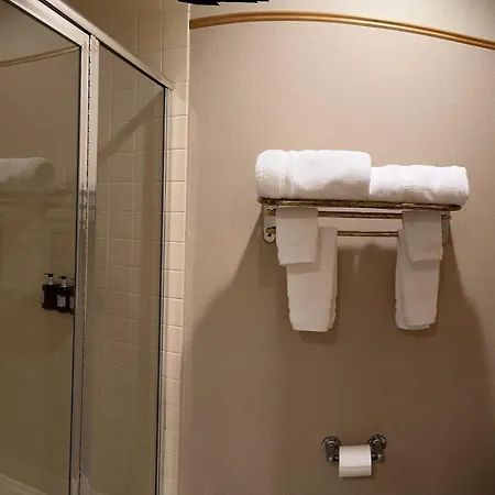 Rocklin Park Hotel, Trademark Collection By Wyndham-3
