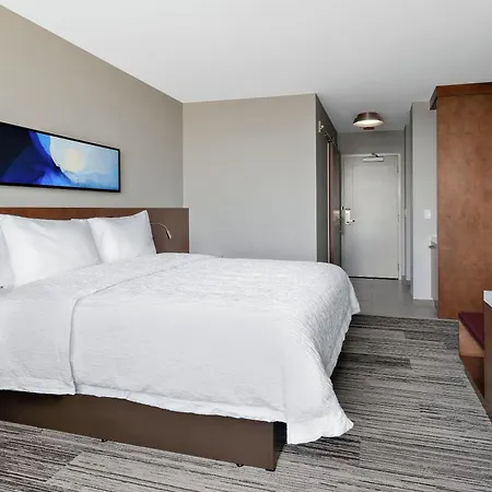 Hilton Garden Inn Chicago Mccormick Place-3