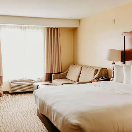 Comfort Inn Pomona Near Fairplex-2