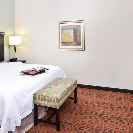 Hampton Inn Pecos-3
