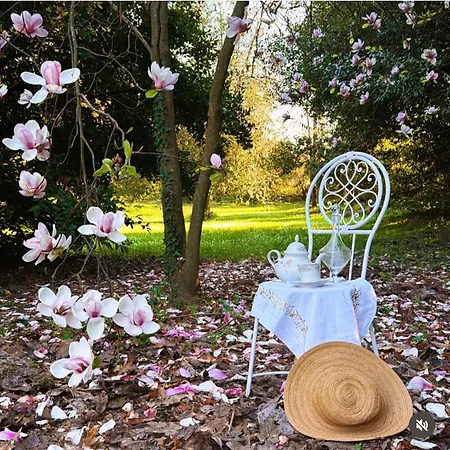 Villa La Dogana - B&B With A Lovely Garden - Private Parking - Slow Living In An Old-Fashioned Historical Home-3