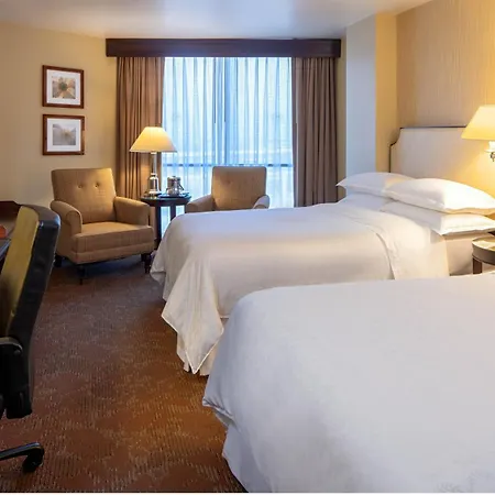 Sheraton Houston Brookhollow Hotel-2