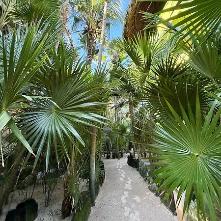 Suenos Tulum-2