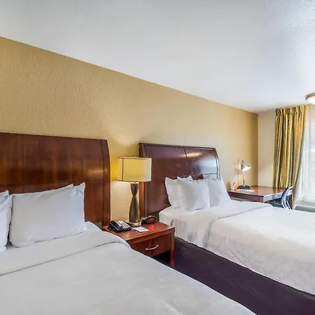 Clarion Inn & Suites Central Clearwater Beach-3