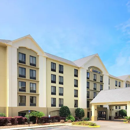 Comfort Inn Pensacola - University Area-3