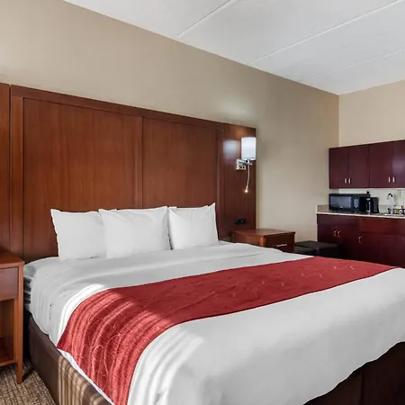 Comfort Suites Woodstock - Atlanta North-3