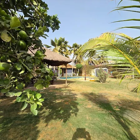 Jardin d'Afrique-2