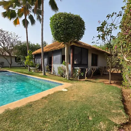 Jardin d'Afrique-3
