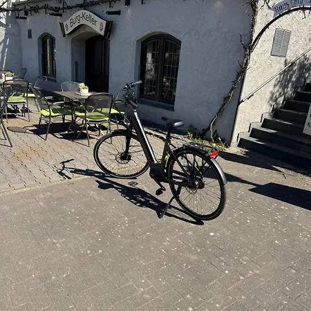 Hotel Haus Burg Metternich-2