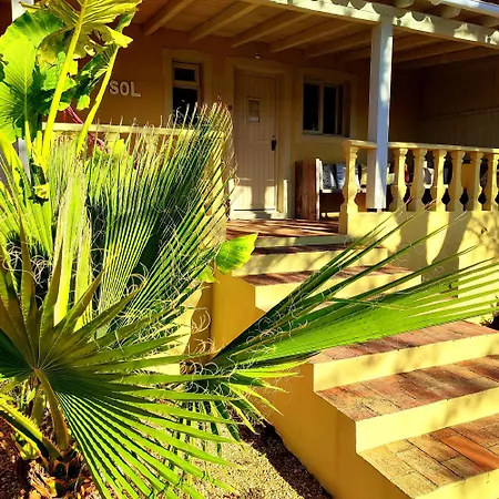 Quinta Pereiro Tropic Garden, Algarve-2