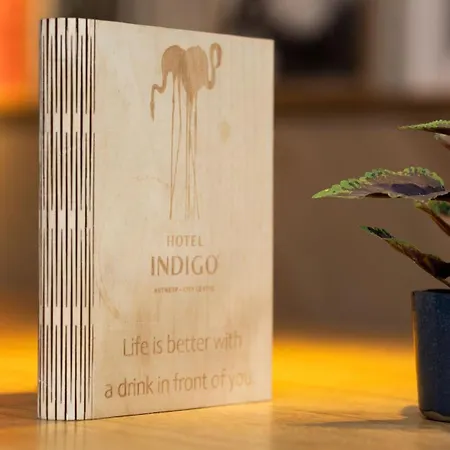 Hotel Indigo Antwerp City Centre By Ihg-3