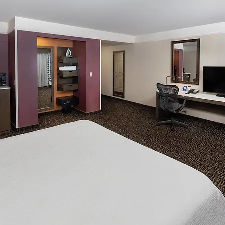 Hilton Garden Inn Montreal Centre-Ville-3