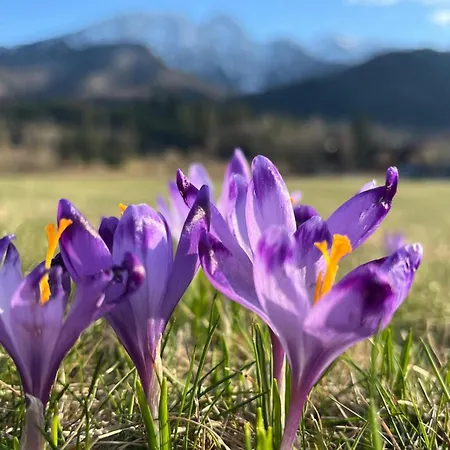 Radisson Blu Hotel & Residences Zakopane-2