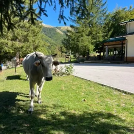 Hotel Campo Stella-3