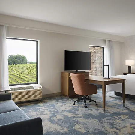 Hampton Inn & Suites Braselton-3