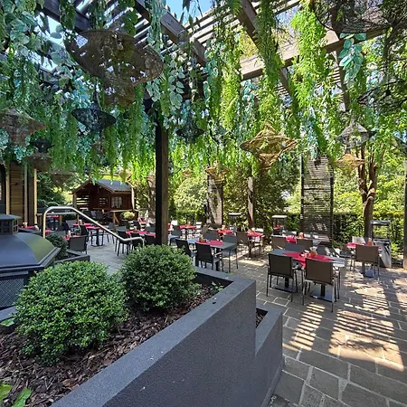 Parkhotel Luise Bad Herrenalb-3