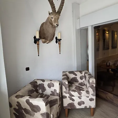 Hotel Steinbock-2