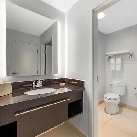 Best Western Plus Miami Airport North Hotel&Suites-3