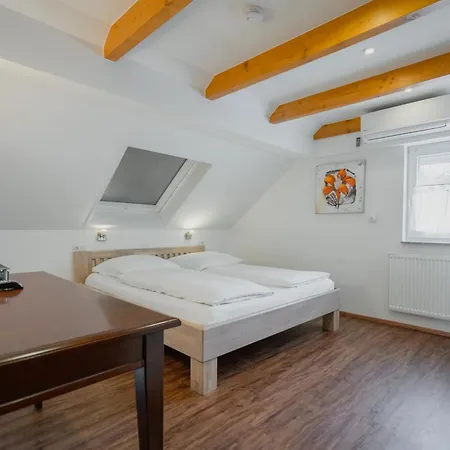Park Hotel & Gaestehaus Rust-2
