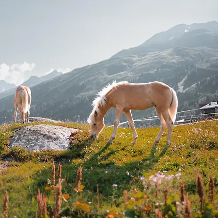 Chalet Obergurgl Luxury Apartments-3